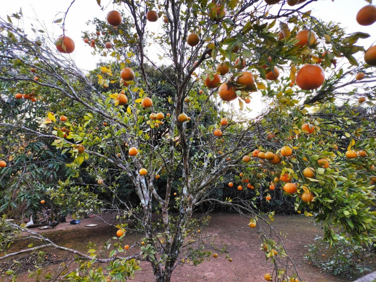 Casa De Campo Lazer Completo Paraiso De Reservas Naturais Em Sp Ibiúna Εξωτερικό φωτογραφία