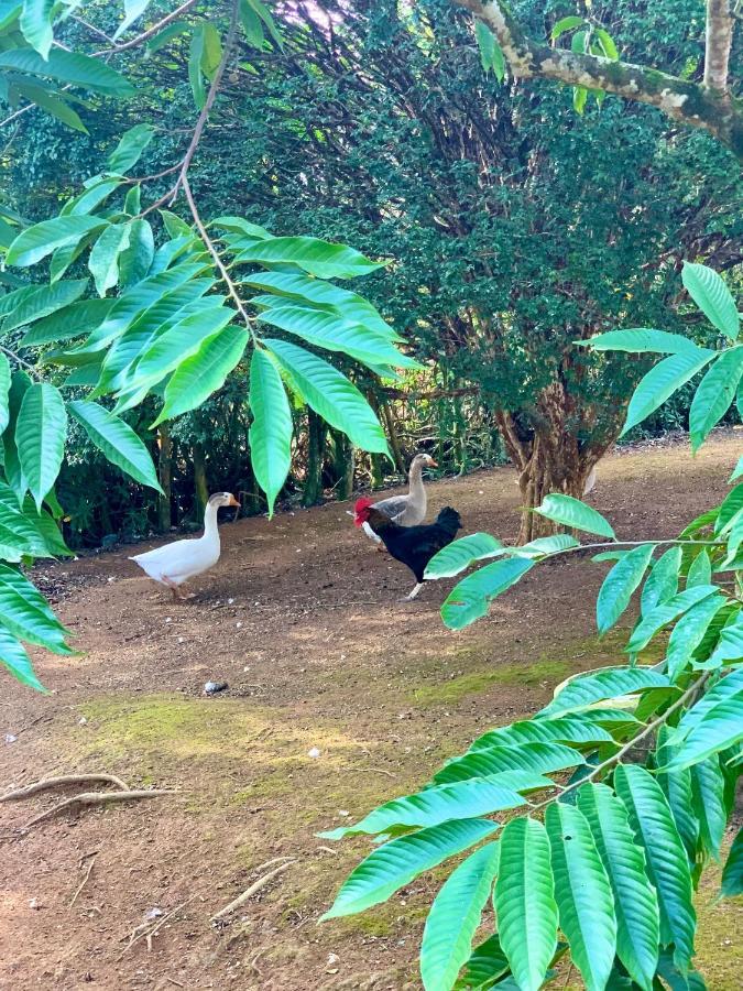 Casa De Campo Lazer Completo Paraiso De Reservas Naturais Em Sp Ibiúna Εξωτερικό φωτογραφία